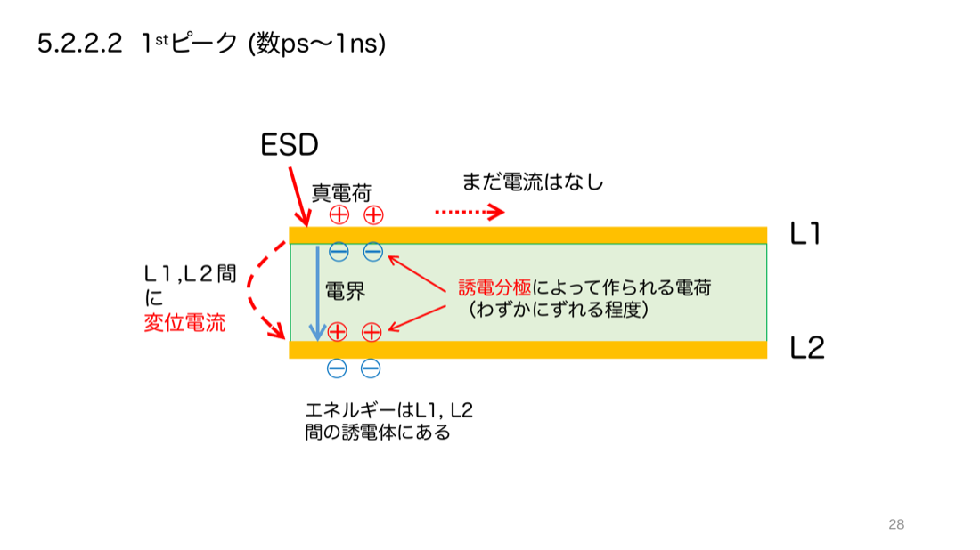 1stピークの断面図